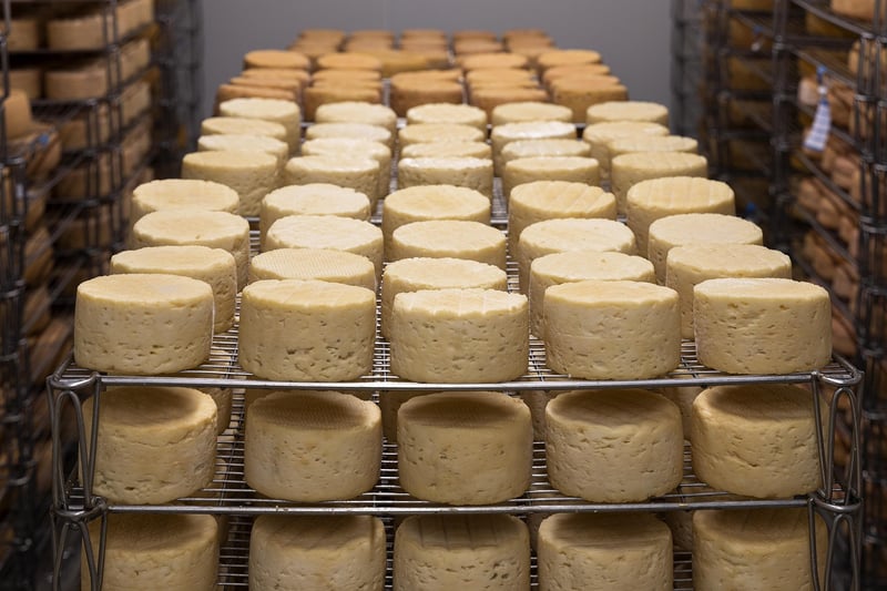 Artisanal cheeses